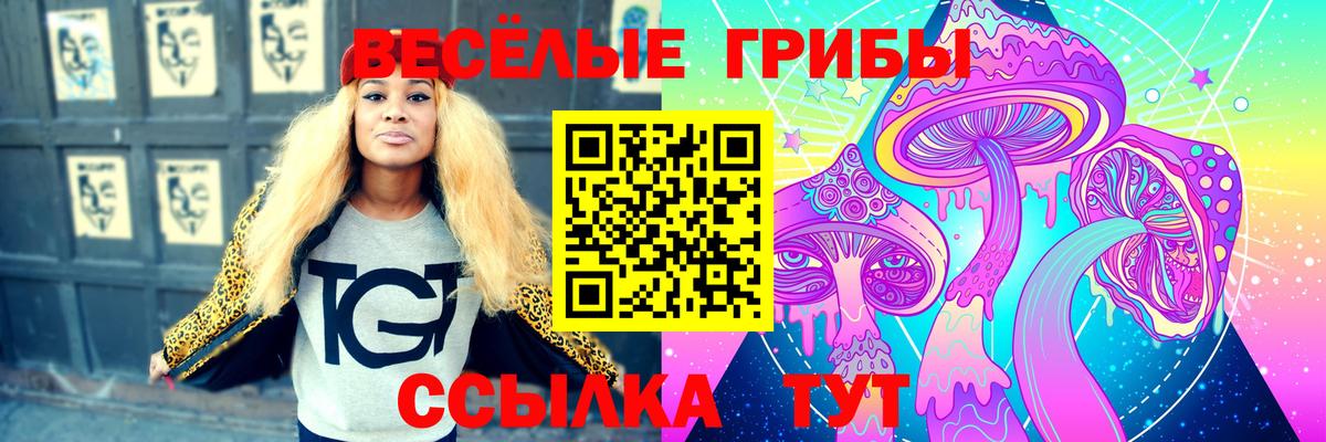 наркошоп  Галлюциногенные грибы прущие грибы  Вход с VPN  Абинск 