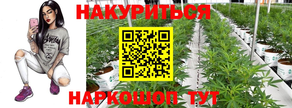 Конопля марихуана Абинск
